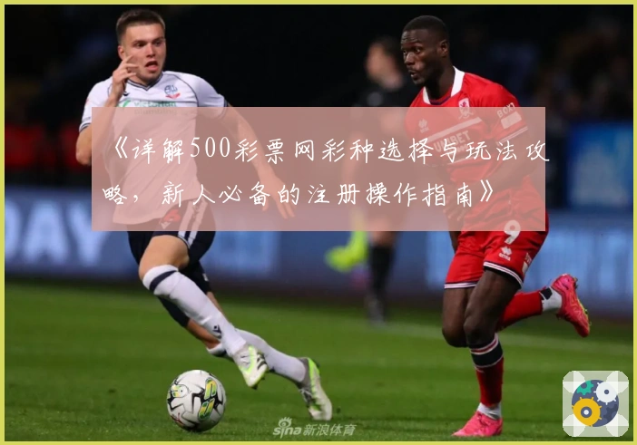 《详解500彩票网彩种选择与玩法攻略，新人必备的注册操作指南》
