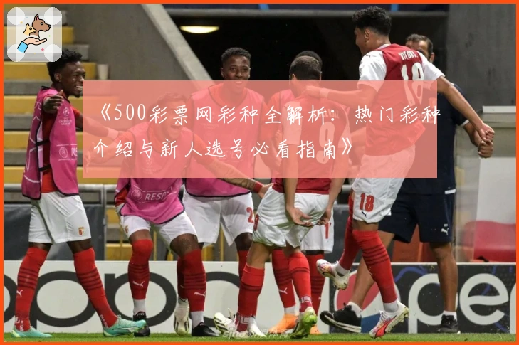 《500彩票网彩种全解析:热门彩种介绍与新人选号必看指南》