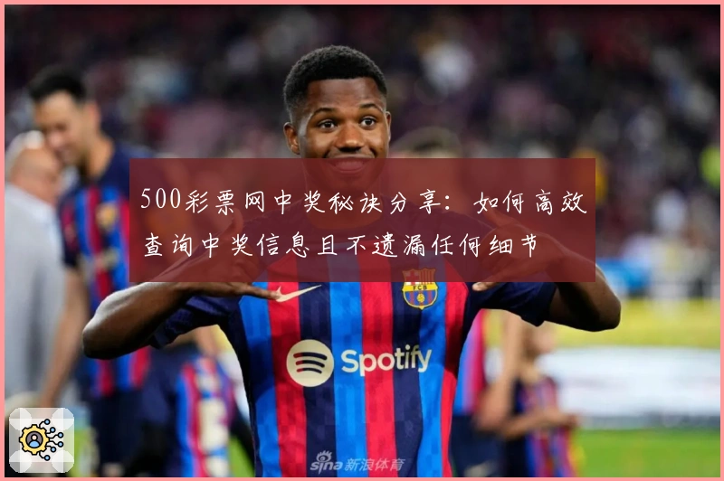 500彩票网中奖秘诀分享：如何高效查询中奖信息且不遗漏任何细节