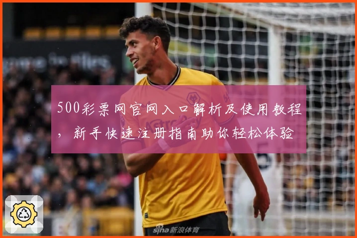 500彩票网官网入口解析及使用教程，新手快速注册指南助你轻松体验